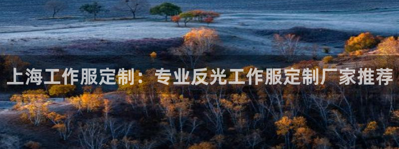 龙八国际娱乐官方网站|上海工作服定制:专业反光工作服定制厂家推荐