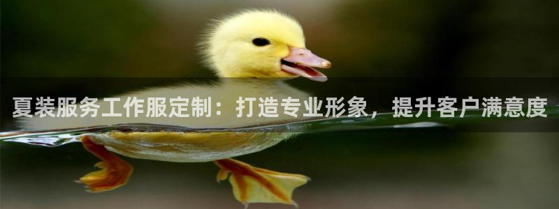 龙8国际手机版注册|夏装服务工作服定制:打造专业形象,提升客户满意度