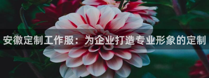 头号玩家龙八国际网址|安徽定制工作服:为企业打造专业形象的定制