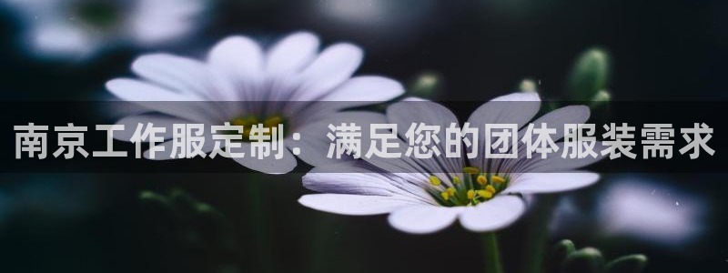 龙八国际手机版官网平台|南京工作服定制:满足您的团体服装需求